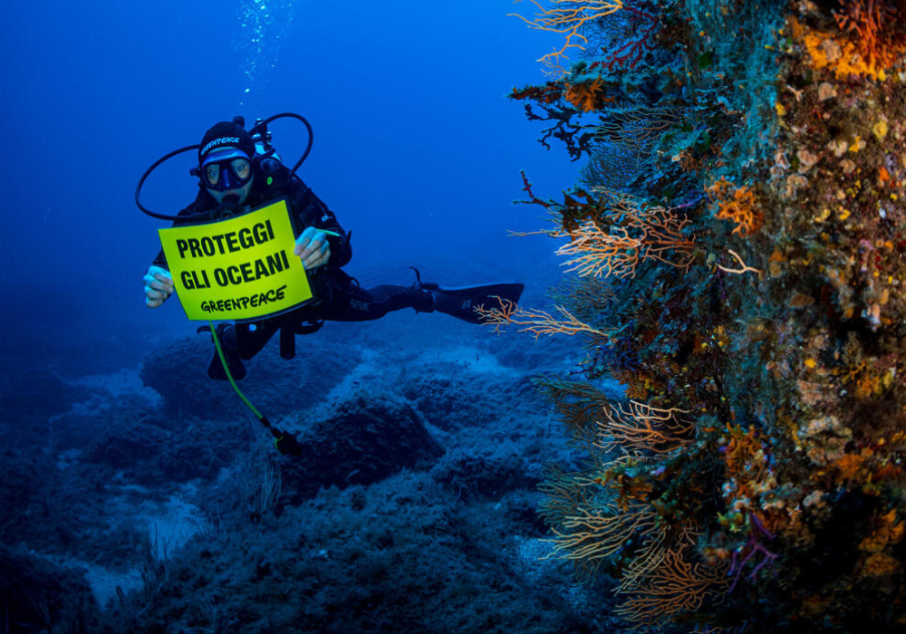 Un’attivista di Greenpeace sul fondo dell’oceano mostra un banner: “Proteggi gli oceani”