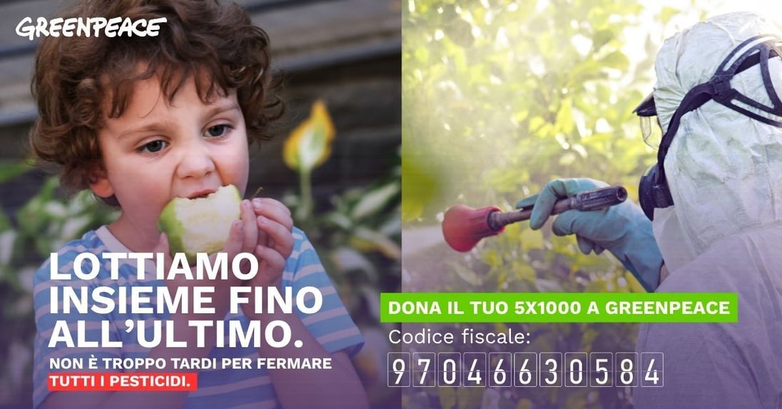 Dona il 5x1000 a Greenpeace